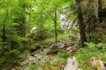 2014-07-05_Laengental-N-Hochweg (404). JPG